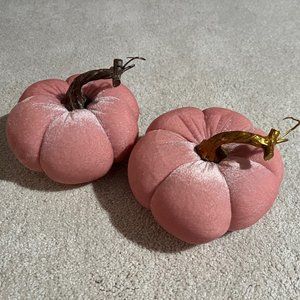 Set of 2 Pink Velvet Fall/Halloween Pumpkins